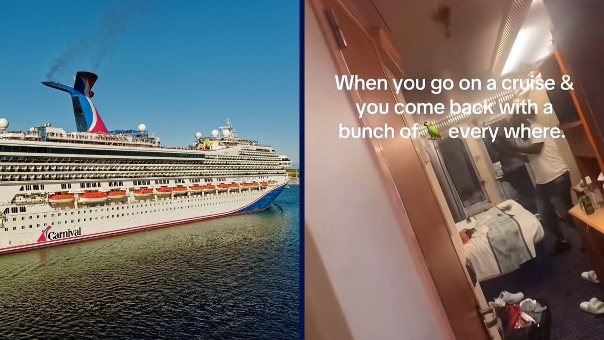 Carnival Cruise Line Birds in Stateroom