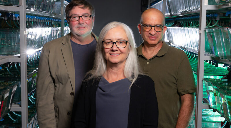 Three people, with women with glasses and white hair in front, and men with glasses behind him on either side, stand between rows of well-lit aquarium dishes in a lab.