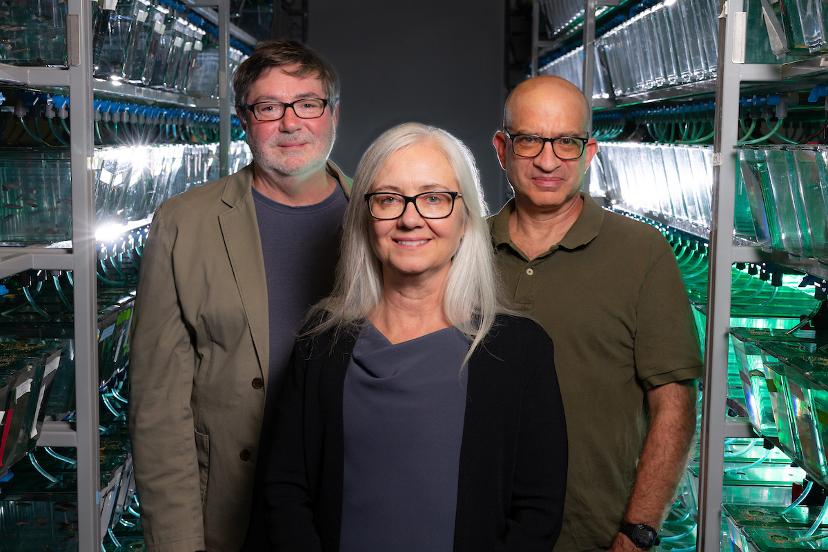 Three people, with women with glasses and white hair in front, and men with glasses behind him on either side, stand between rows of well-lit aquarium dishes in a lab. 