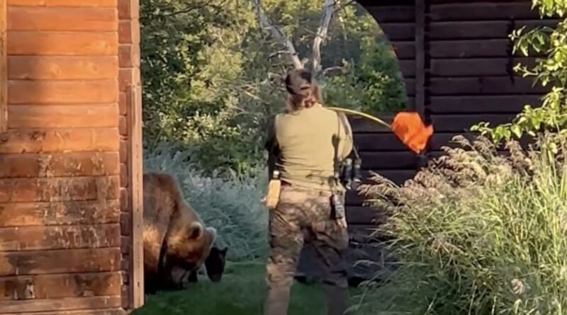 Park Ranger Chases Flagged Grizzlies @ Katmai National Park