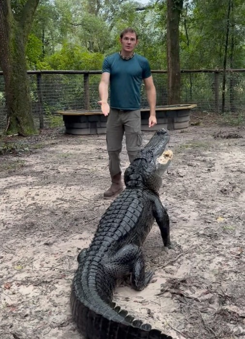 Wildlife expert Christopher Gillette issued an alligator warning ahead of Hurricane Milton